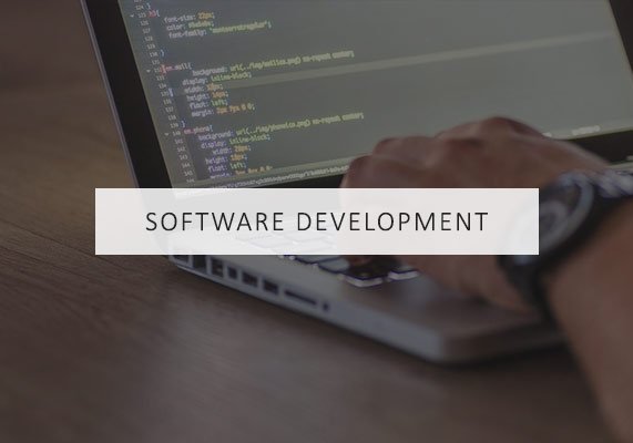Software Development